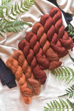 Load image into Gallery viewer, Price of Dreams