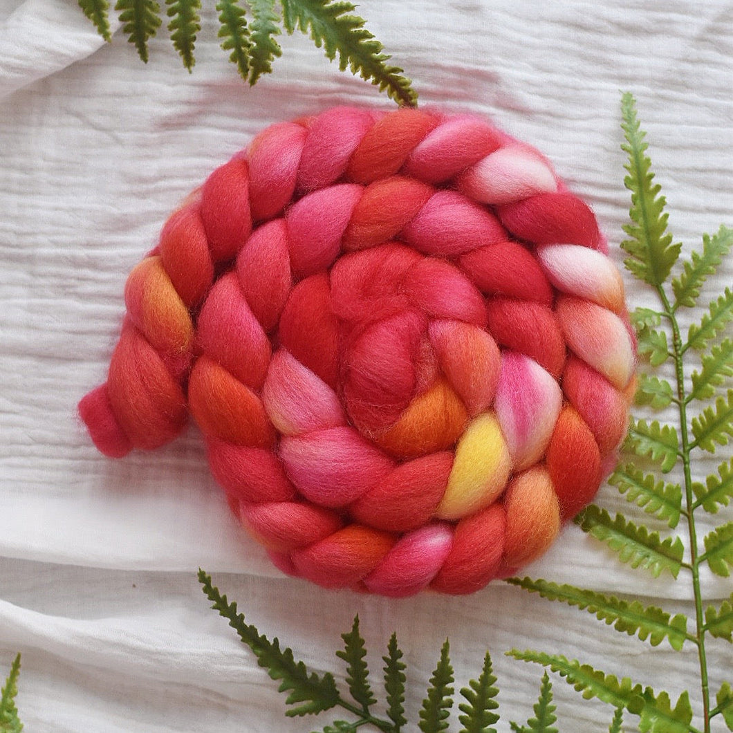 Australian Merino Spinning Fiber