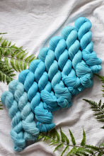 Load image into Gallery viewer, Something You Forgot About Belmonts
